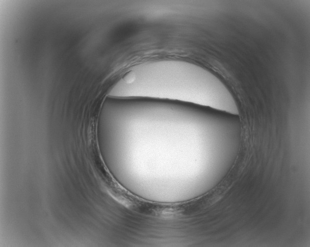 X0000080670165200612150810