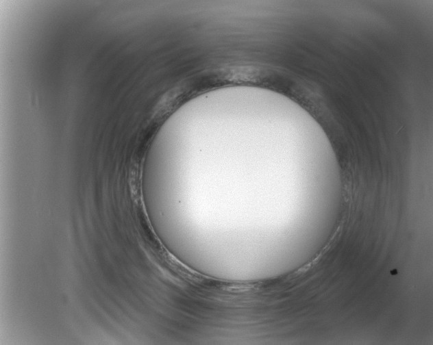 X0000080670175200612150810