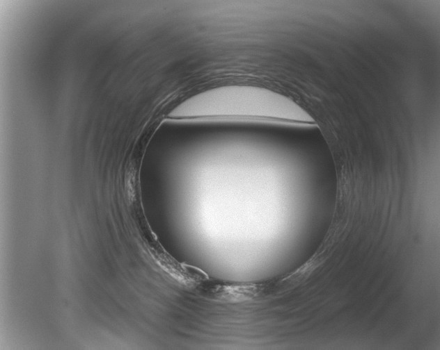 X0000080670188200612150811