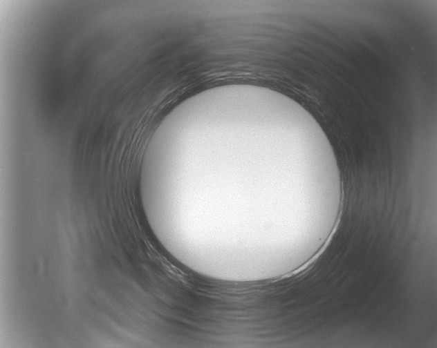 X0000080670190200612150811