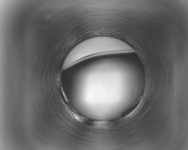 X0000080670192200612150811