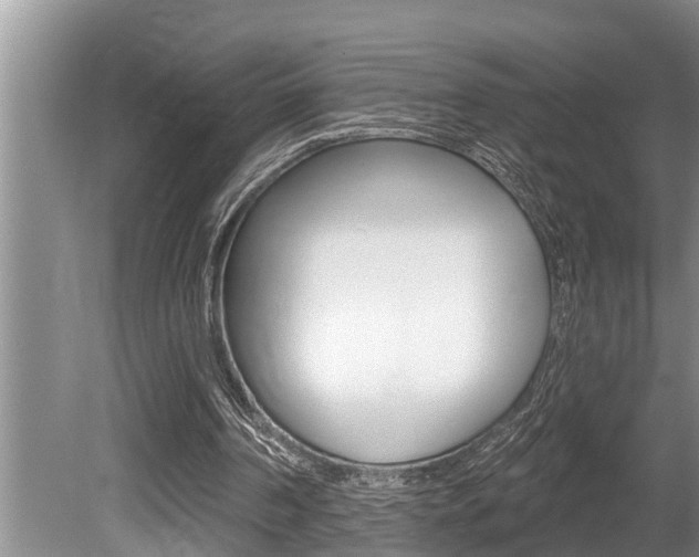 X0000080670194200612150810
