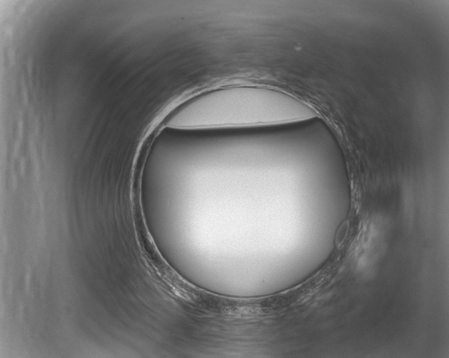 X0000080670196200612150810