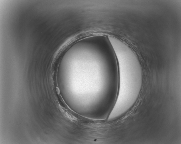 X0000080670197200612150810