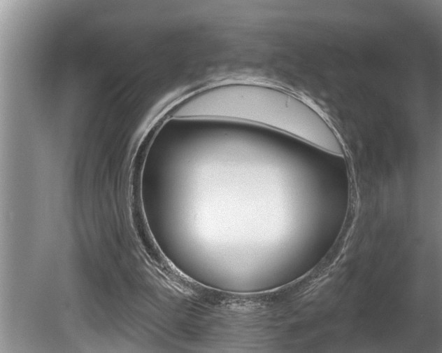 X0000080670199200612150810