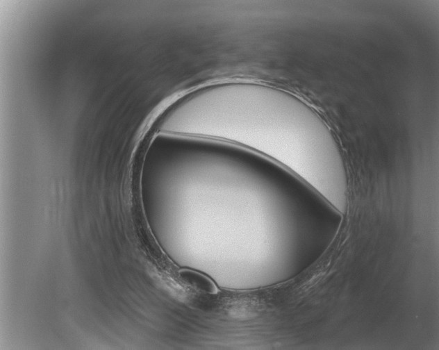 X0000080670200200612150810
