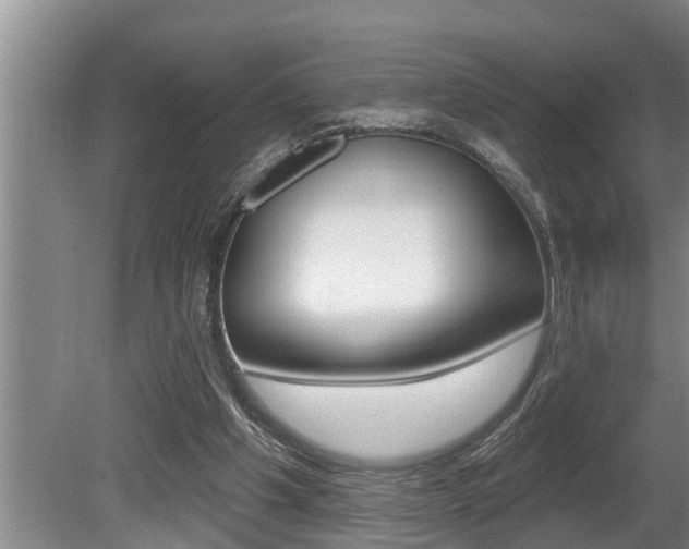 X0000080670201200612150810
