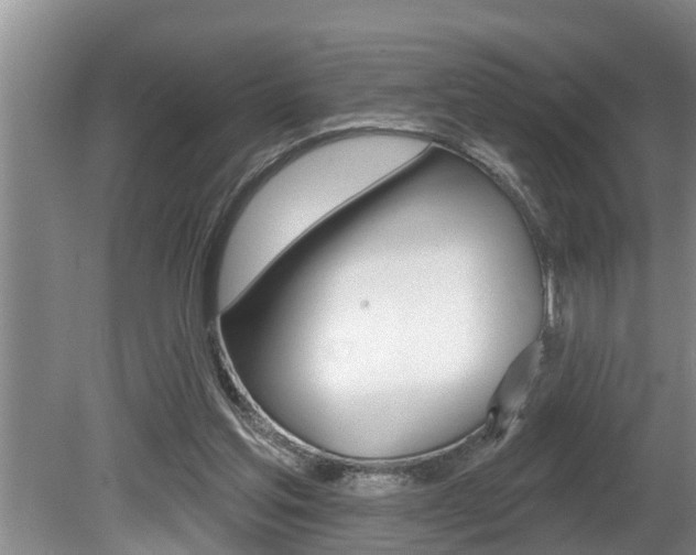 X0000080670205200612150810