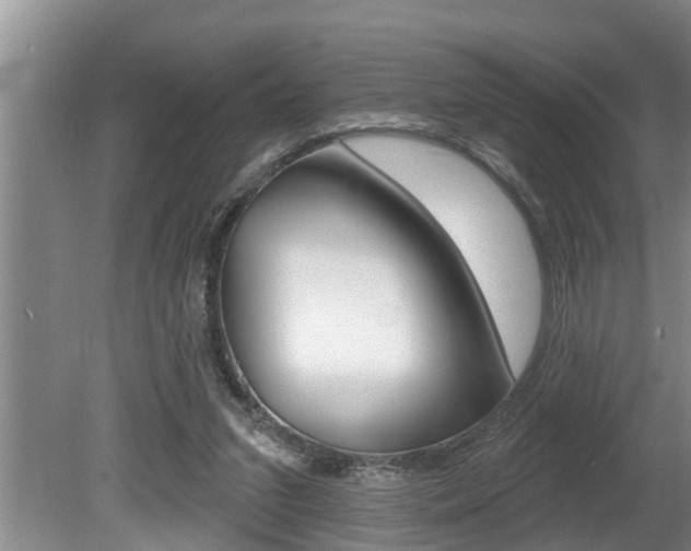 X0000080670207200612150810