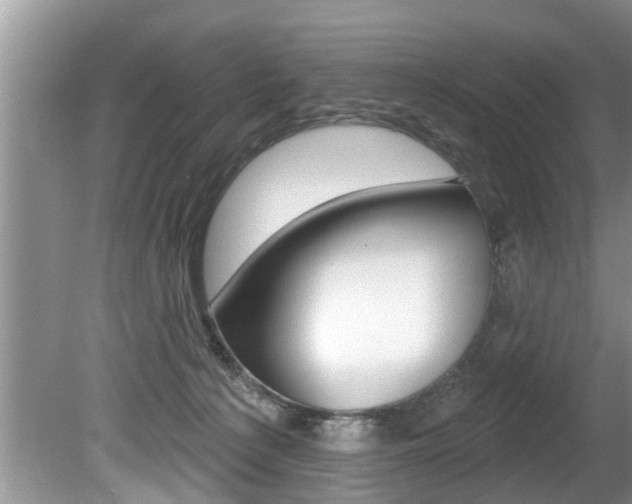 X0000080670225200612150809