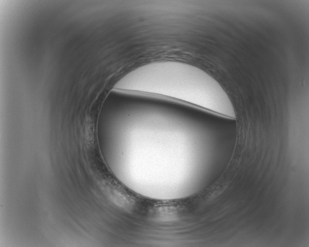 X0000080670228200612150809