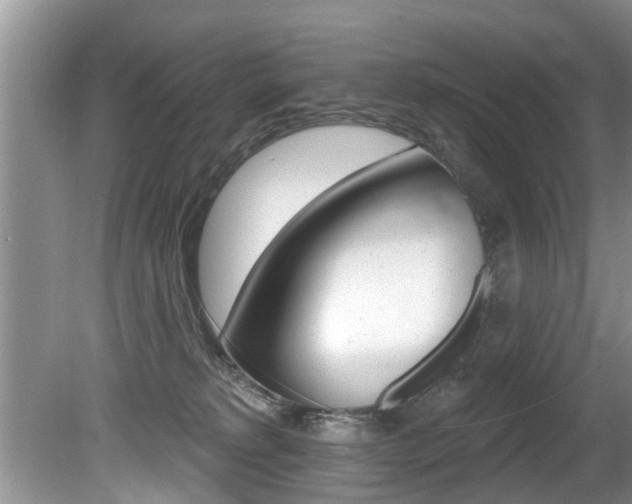 X0000080670229200612150809