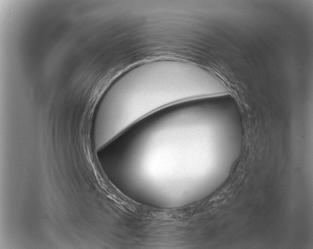 X0000080670241200612150808