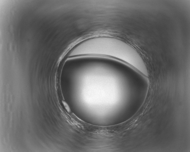 X0000080670244200612150808
