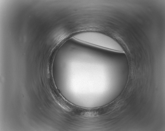 X0000080670251200612150809