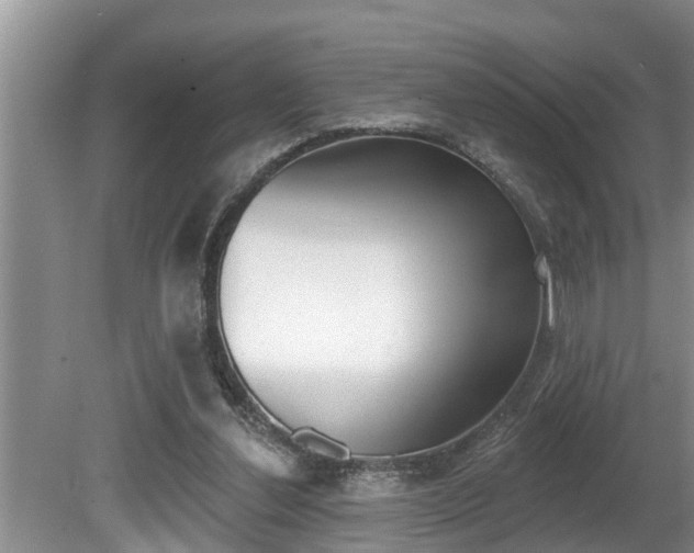 X0000080670252200612150809