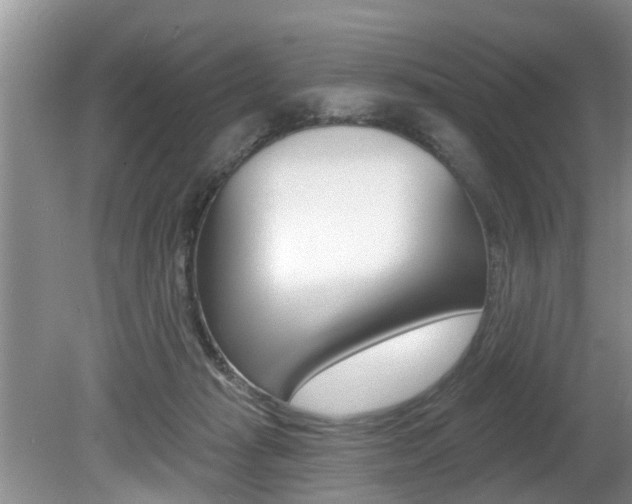 X0000080670269200612150809