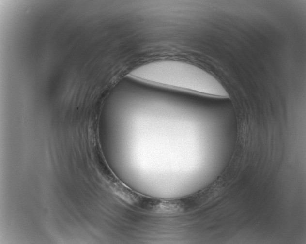 X0000080670270200612150809
