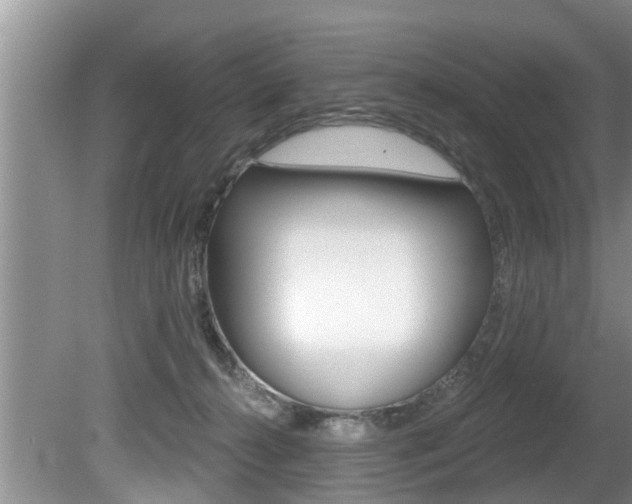 X0000080670272200612150809