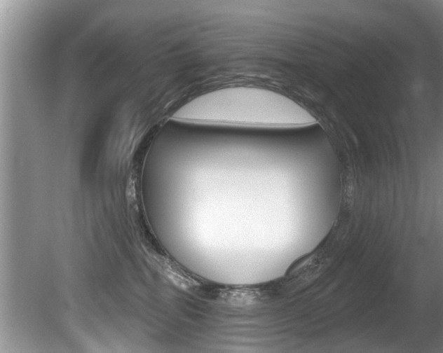 X0000080670282200612150809