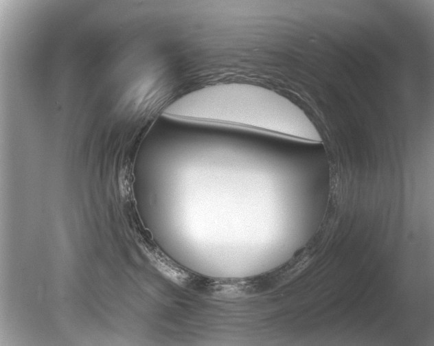 X0000080670285200612150809