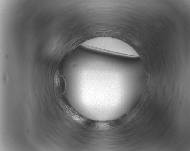 X0000080670287200612150809