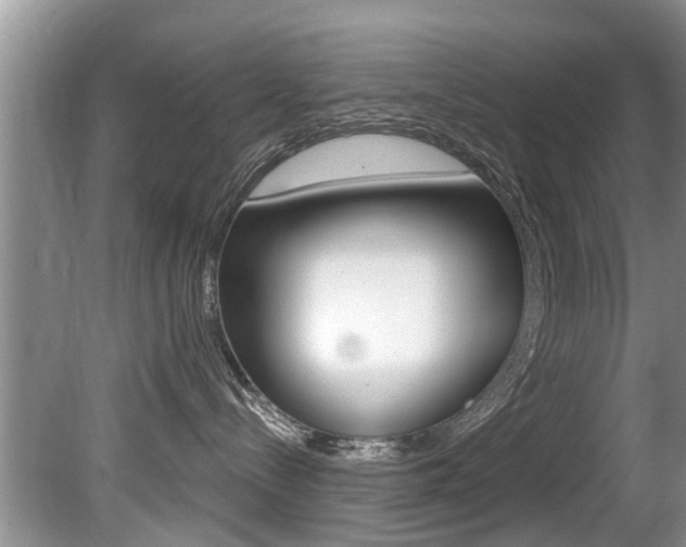 X0000080670288200612150809