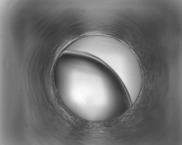 X0000080670289200612150808