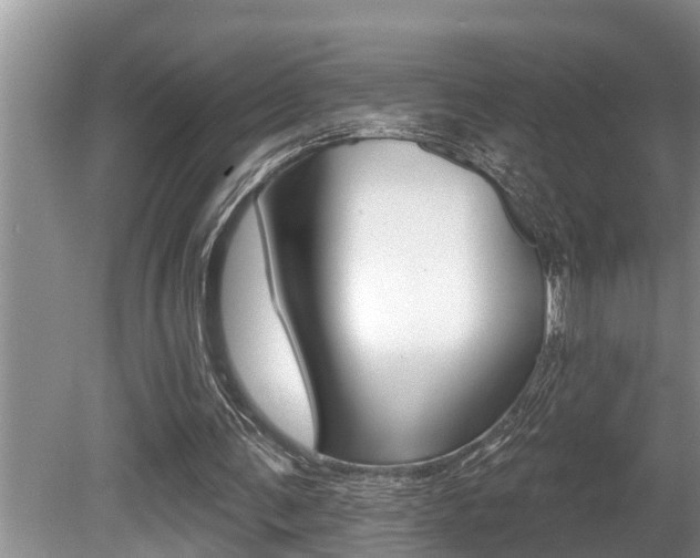 X0000080670291200612150808
