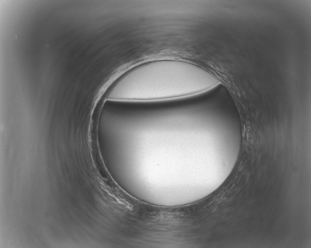 X0000080670292200612150808