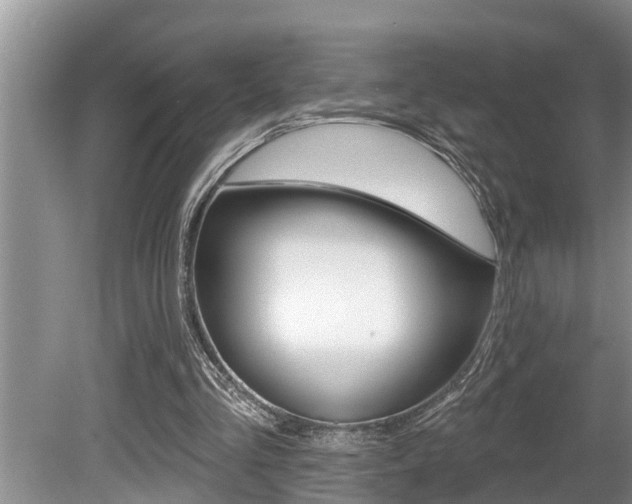 X0000080670293200612150808