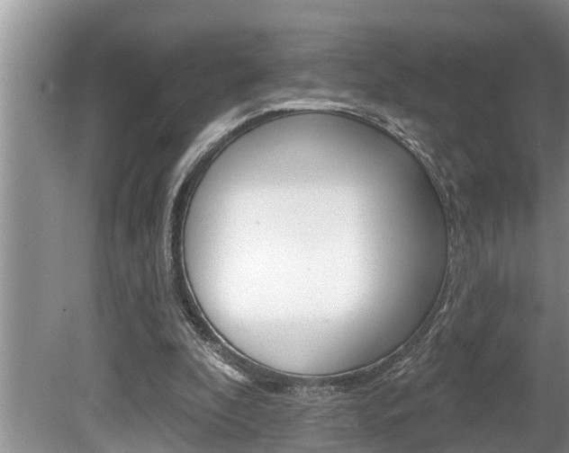 X0000080670296200612150808