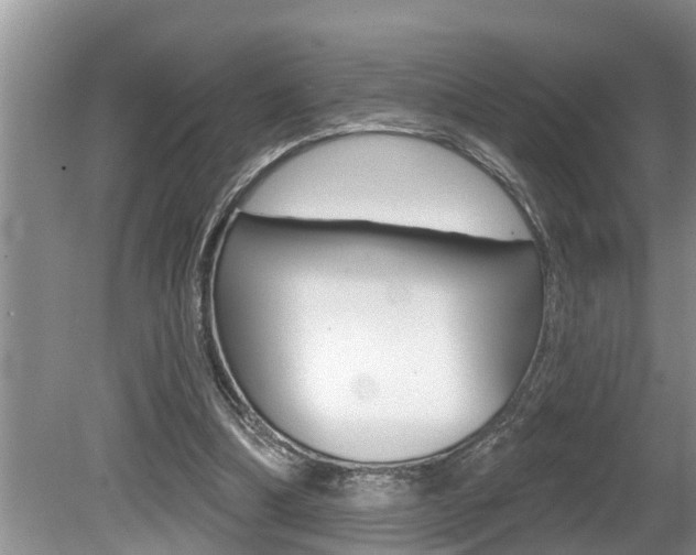X0000080670298200612150808