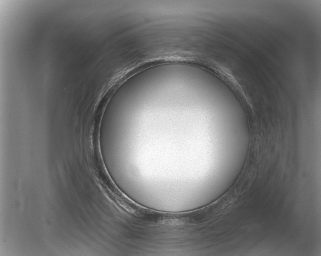 X0000080670299200612150808
