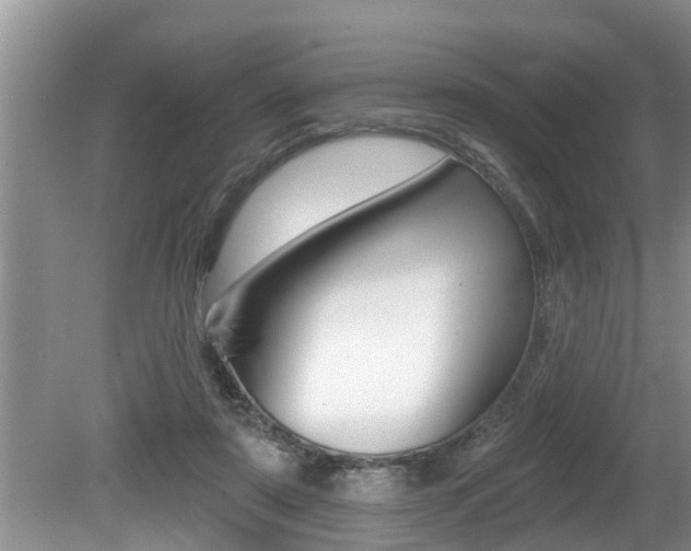X0000080670307200612150808