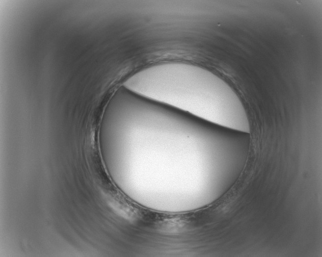 X0000080670310200612150808