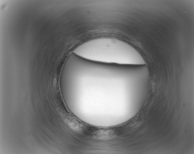 X0000080670314200612150808