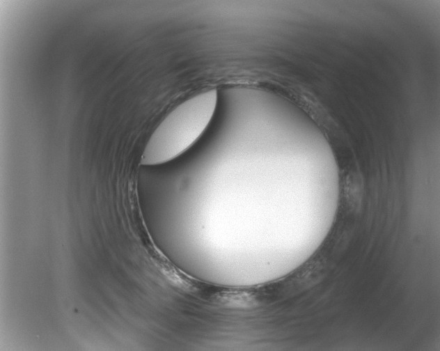 X0000080670322200612150808