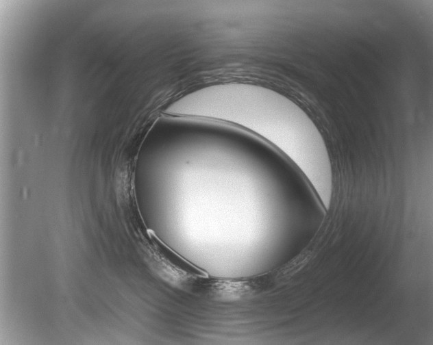 X0000080670333200612150808
