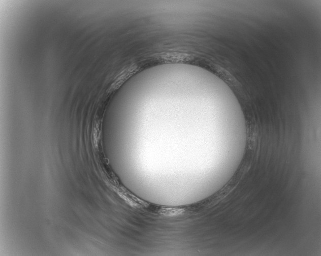 X0000080670334200612150808