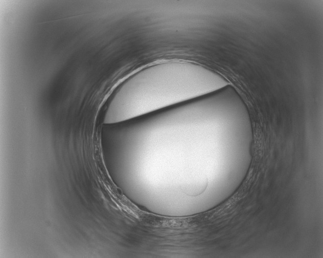 X0000080670338200612150807