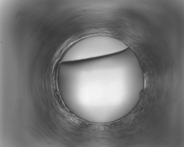 X0000080670339200612150807