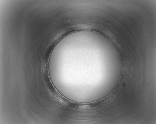X0000080670355200612150807