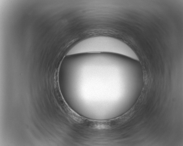 X0000080670360200612150807