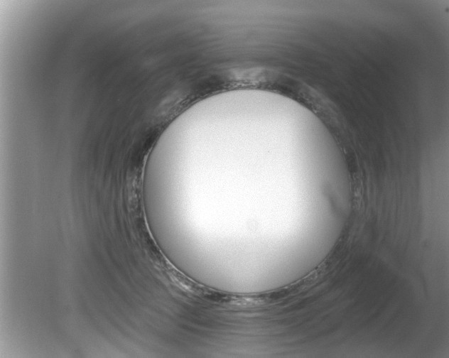 X0000080670369200612150807