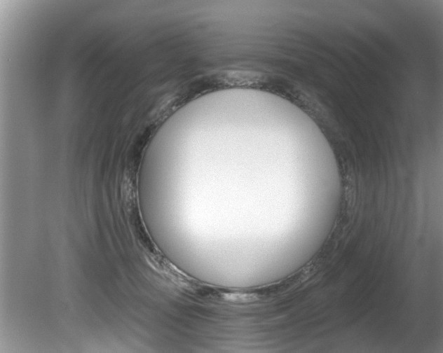 X0000080670371200612150807