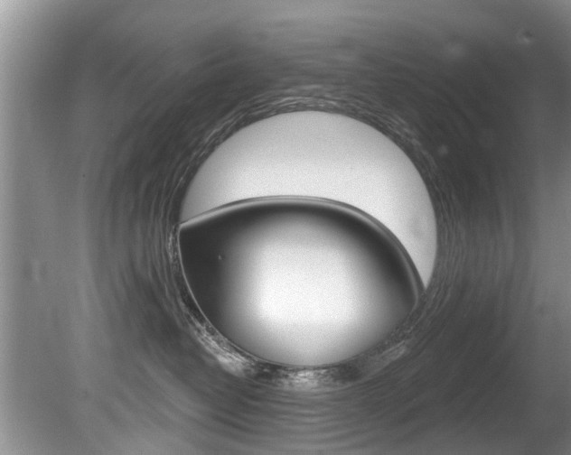 X0000080670382200612150807