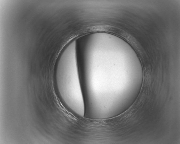 X0000080670386200612150807