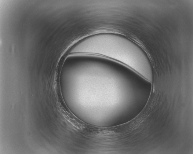 X0000080670387200612150807