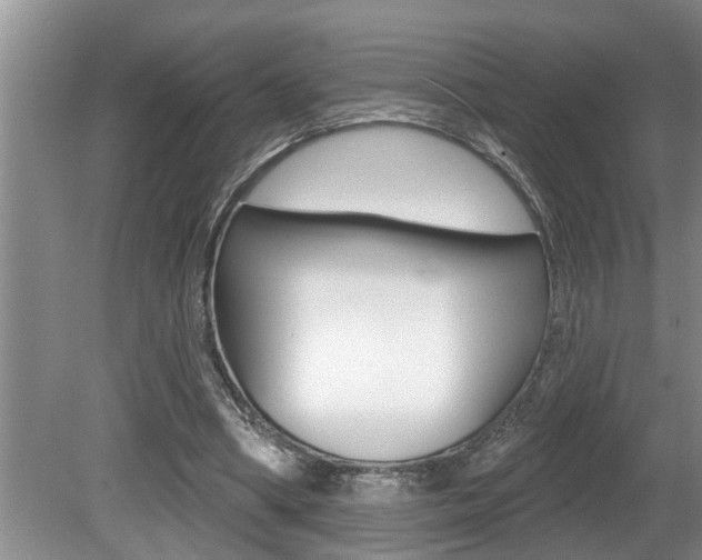X0000080670394200612150807